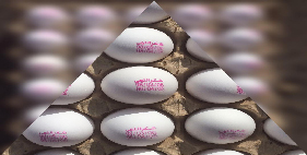 فروش عمده تخم مرغ به صورت آنلاین