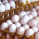 محدودیت‌های صادرات تخم مرغ به عمان رفع شد.