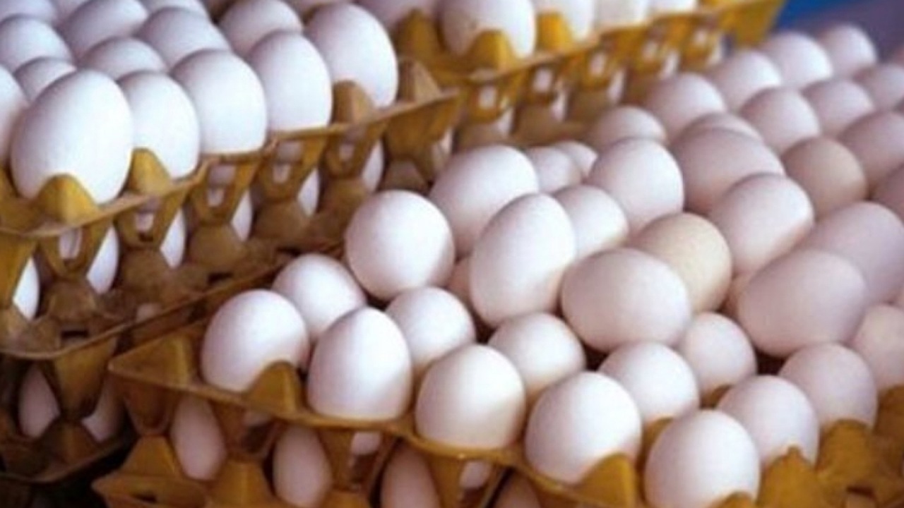 محدودیت‌های صادرات تخم مرغ به عمان رفع شد.